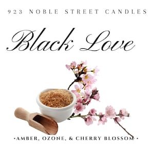 Black Love Candle (Amber, Ozone & Cherry Blossom) | Hand Poured Coconut Soy Blend Candle | 923 Noble Street Candles