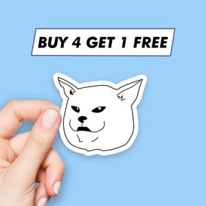 Funny Confused Cat Sticker Cat Saying Stickers Laptop Stickers Aesthetic Stickers Computer Stickers Waterbottle Stickers Laptop Decals