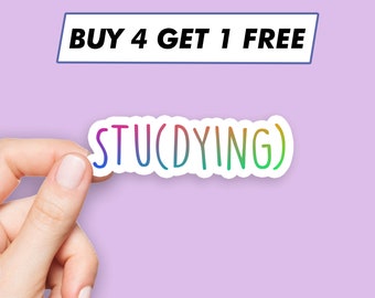 Cool Studying Sticker Study Saying Stickers Laptop Stickers Aesthetic Stickers Computer Stickers Water Bottle Stickers Laptop Decals