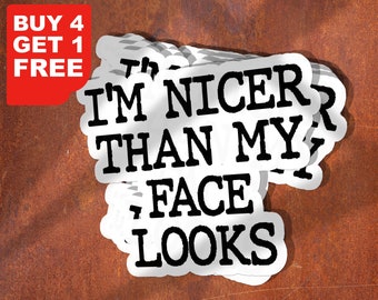 I'm Nicer Than My Face Looks Sticker, Sarcasm Stickers, Laptop Stickers, Water Bottle Decals, Tumbler Stickers