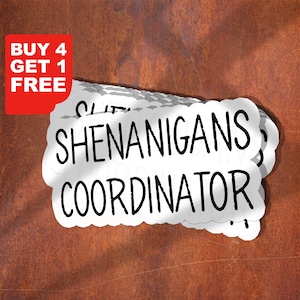 Shenanigan Coordinate Aufkleber, irische Aufkleber, lustiger Aufkleber, Sarkasmus Aufkleber, Shenanigan holographischer Aufkleber, Wasserflasche Aufkleber