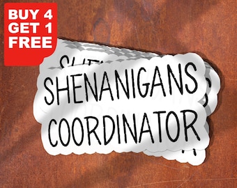 Shenanigan Coordinate Aufkleber, irische Aufkleber, lustiger Aufkleber, Sarkasmus Aufkleber, Shenanigan holographischer Aufkleber, Wasserflasche Aufkleber