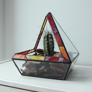 Könnte beinhalten: Ein dreieckiges Glas-Terrarium mit roten, orangen und gelben Buntglas-Akzenten. Eine kleine Kaktuspflanze wächst im Inneren des Terrariums.