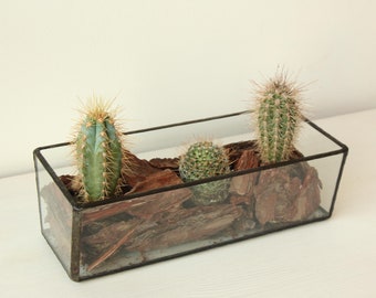 terrarium for succulents, glass pot, stained glass product