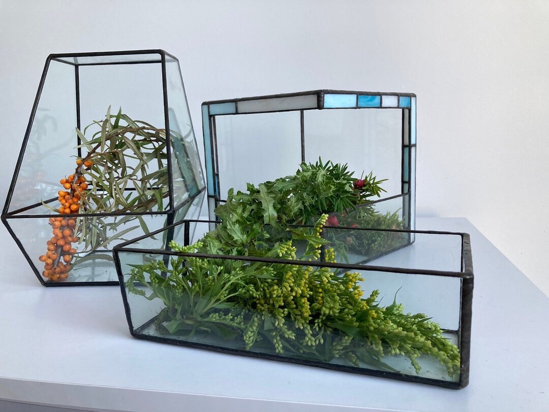 Terrarium for Succulents Glass Pot Stained Glass Product Etsy