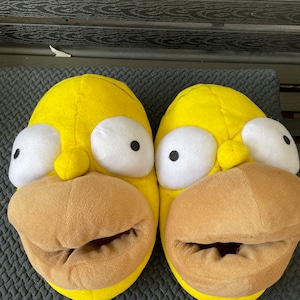Homer simpson shop house shoes