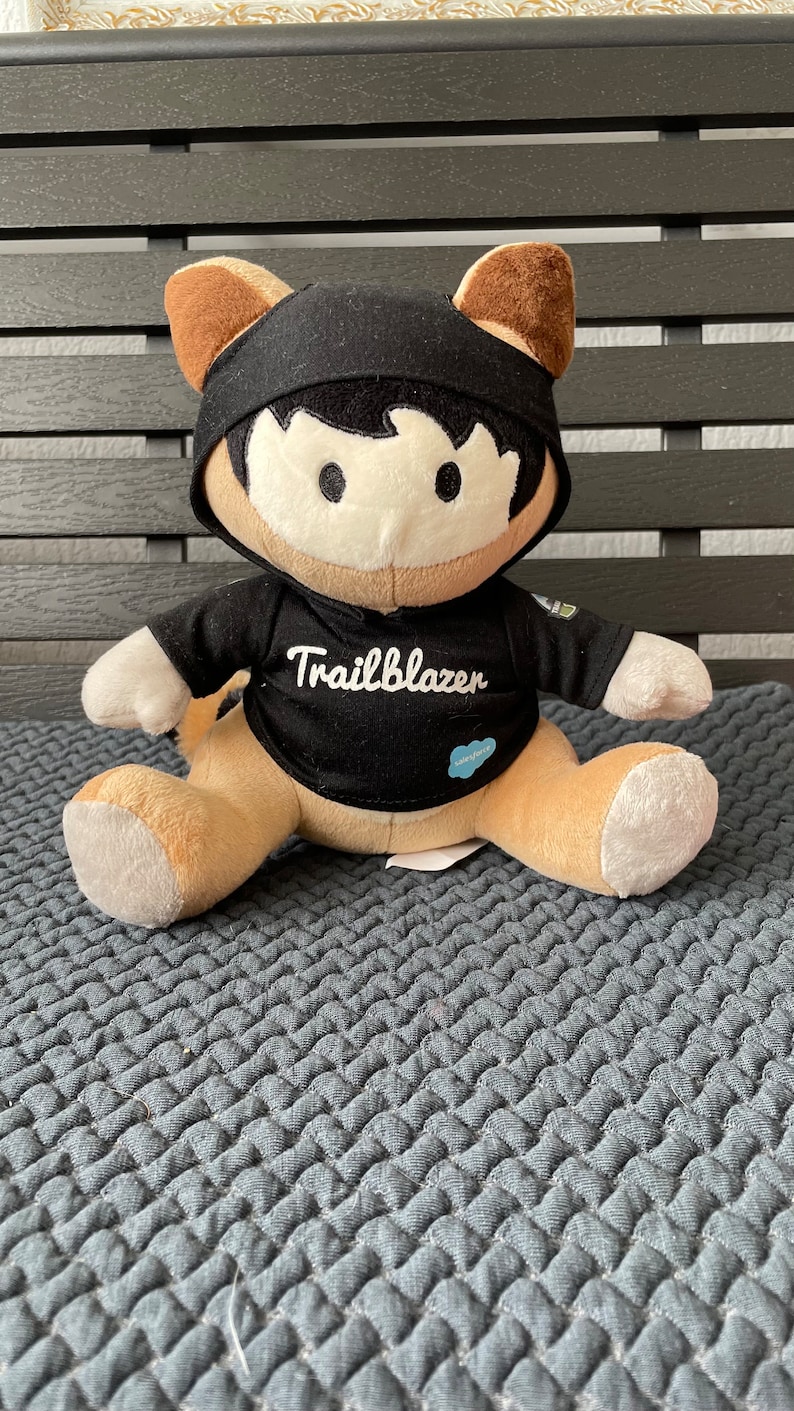 Salesforce Trailhead Astro Raccoon Mascot Trailblazer Stuffed - Etsy