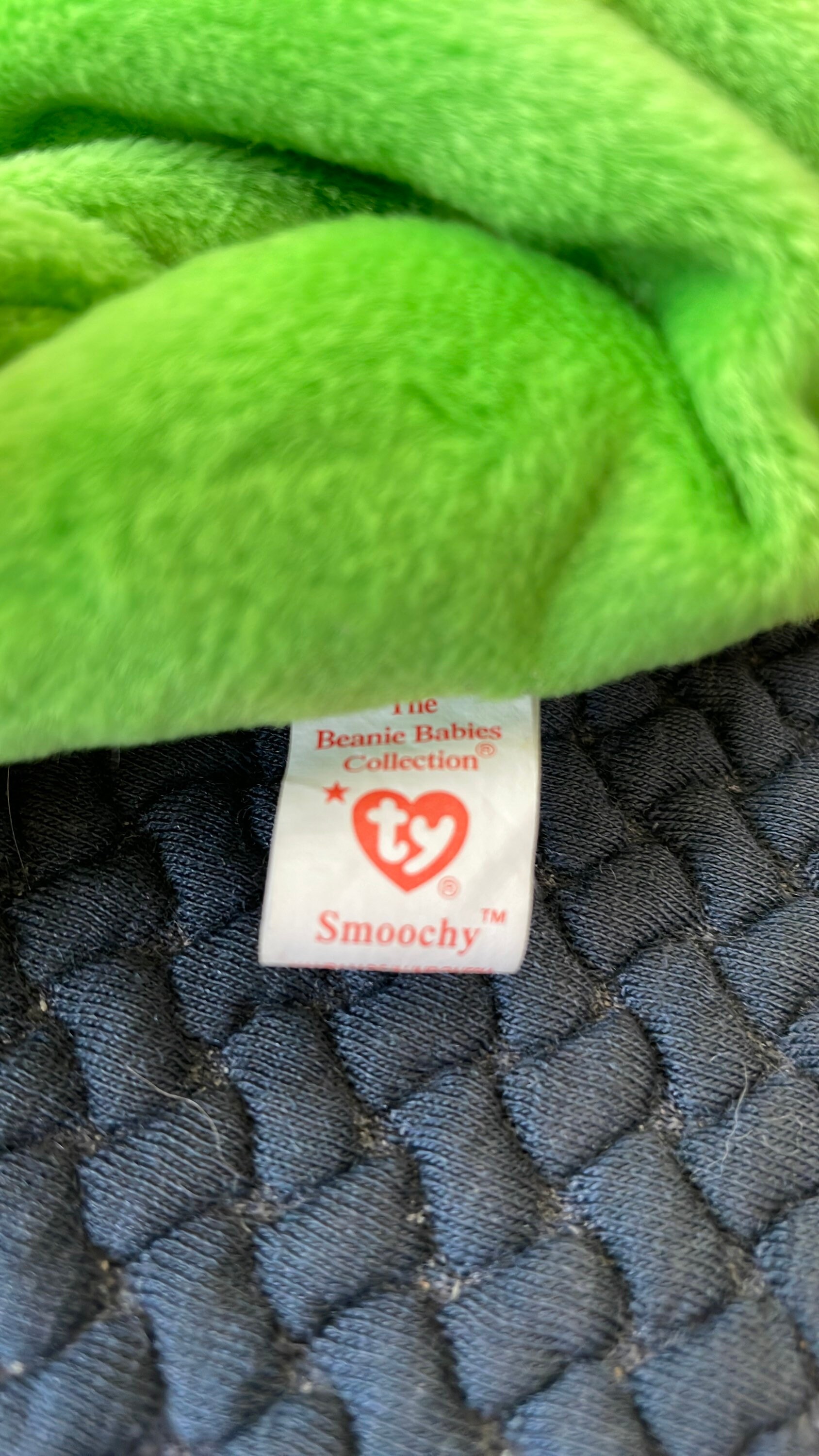 Ty Beanie Babies Collection 1997 Smoochy the Frog 9 Animal Stuffed