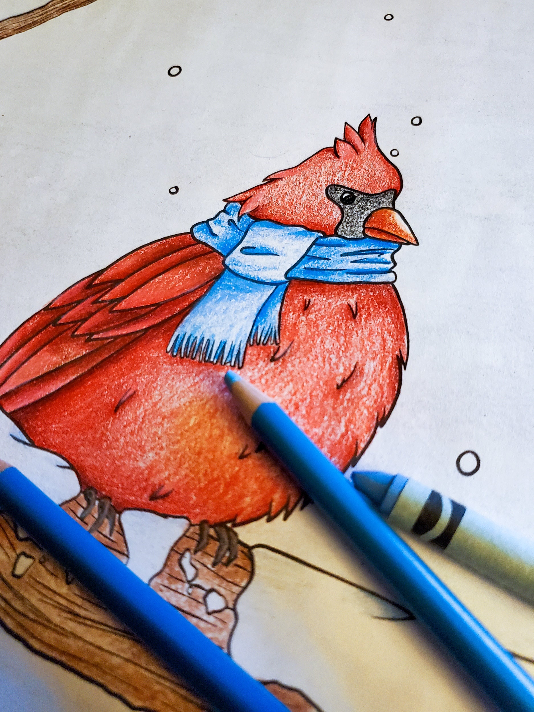 Cardinal Bird Coloring Page - Printable - Etsy