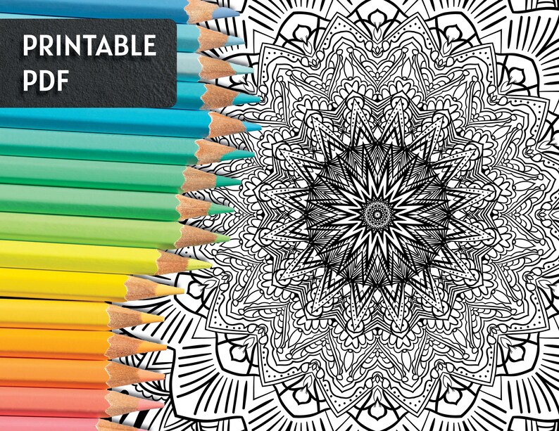 Fun Mandala Detailed Coloring Page Digital Download Printable - Etsy
