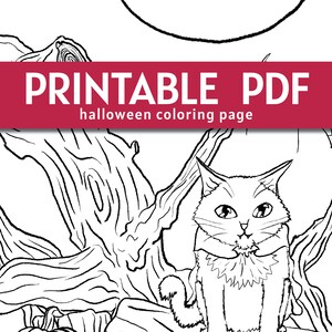 Vampire Cat Halloween Coloring Page Printable - Etsy