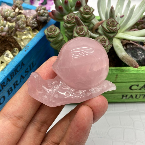 1PC 2" Natural Rose Quartz snail,Quartz Crystal snail Skull,Crystal Heal,Crystal Energy,Crystal Sculpture,Quartz Palm Stone,Crystal Gifts