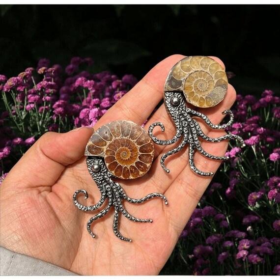 Natural Rare Ammonite Fossil Conch Brooch quartz Crystal Mini