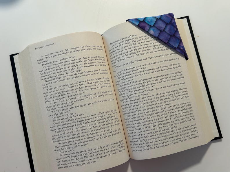 May include: An open book with a blue and purple fabric bookmark with a scale pattern. The book is open to a page with text about a character named Kieran.