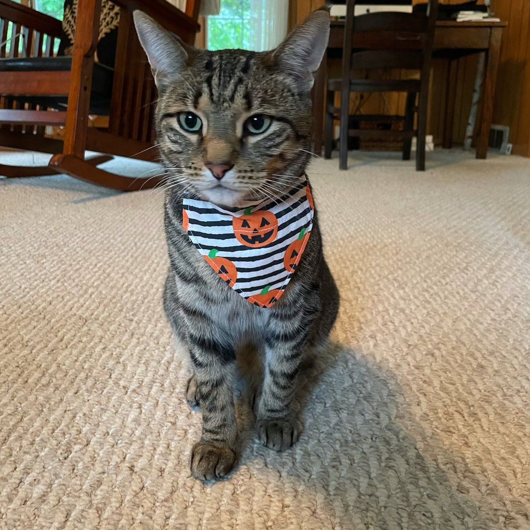 Halloween/fall Over the Collar Pet Bandannas for Dogs and Etsy