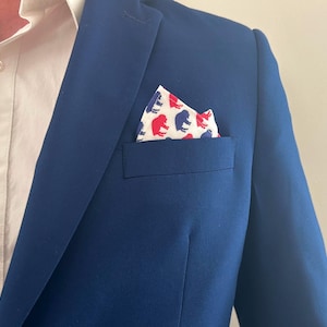 May include: A navy blue blazer with a white dress shirt and a patterned pocket square. The pocket square features red and blue animal silhouettes on a white background. The blazer has a tailored fit.
