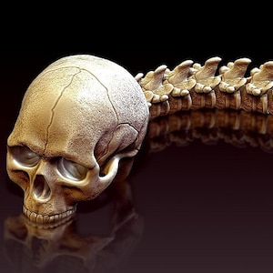 Predator Hunting Skull Trophy articulated TikTok Articulated flexible Movable