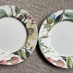 Royal Stafford Floral Rim Large Dinner Plates Pair Of 2 11”