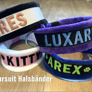 Könnte beinhalten: Vier bunte Hundehalsbänder mit personalisierten Namen: "IRES", "KITTY", "LUXARI" und "AREX". Die Halsbänder sind aus weichem, plüschem Stoff gefertigt und haben ein schwarzes Band mit weißen Nähten. Die Namen sind in verschiedenen Farben auf die Bänder gestickt.