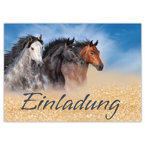 Einladungskarten zum Kindergeburtstag Einladungen für Mädchen drei Pferde Pferd