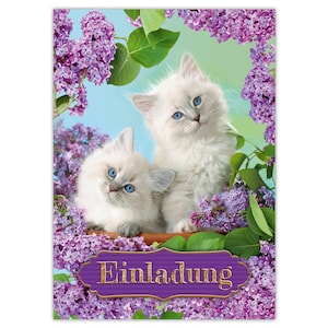 Einladungskarten zum Kindergeburtstag Einladungen für Mädchen Katzen