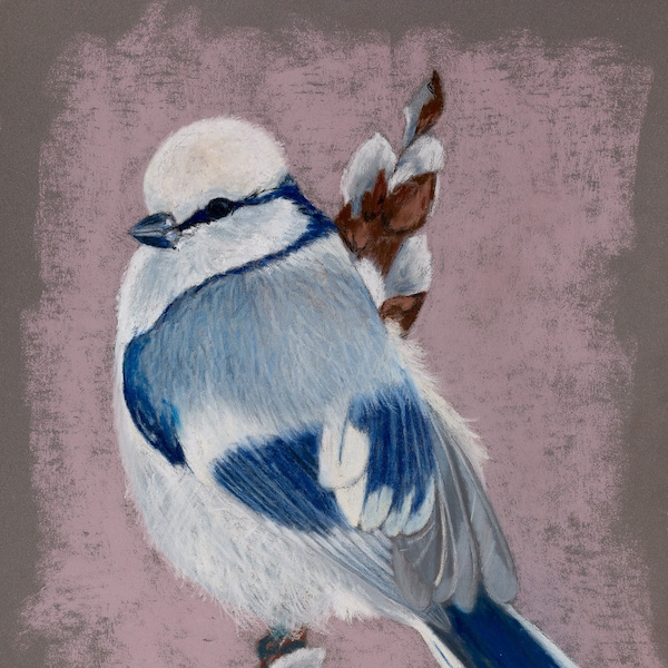 Oiseau d'hiver, pastel sur papier pastelmat, pièce unique, dessin au pastel, art mural animalier, portrait animal, blanc, bleu, noir