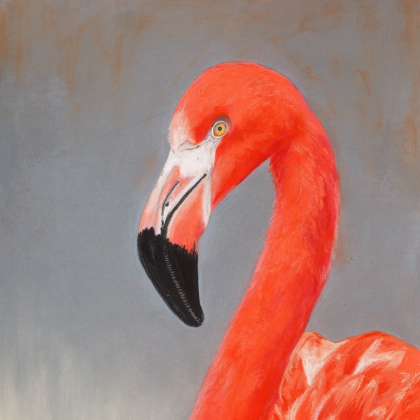 Flamant rose - oiseau, pastel sur papier pastelmat, pièce unique, dessin au pastel, art mural animalier, portrait animal, rose, gris, orange