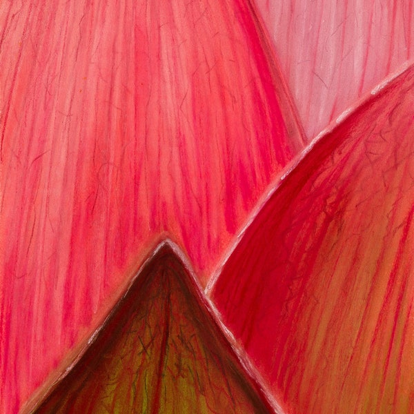 Fleur de Lotus, plante, pétales, fleurs - pastel sur papier Pastelmat, pièce unique, dessin au pastel, art mural végétal, rose, vert
