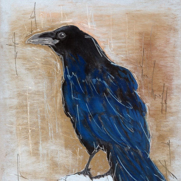 Corbeau, art graphique, pastel sur papier pastelmat, pièce unique, dessin au pastel, art mural animalier, portrait animal, noir, bleu