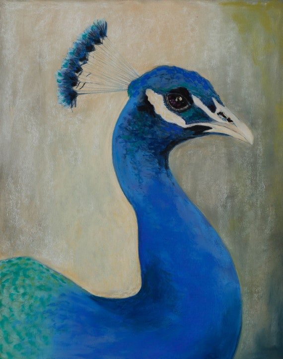 Blue Peacock Bird, Pastel on Pastelmat Paper, Wall Art, Unique Piece,  Pastel Drawing, Animal Wall Art, Animal Portrait, Blue, Green 