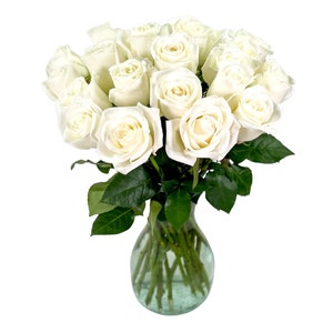 25 Fresh Cut White Roses by Arabella Bouquets with a Free Hand-Blown Glass Vase (Fresh Cut Flowers)