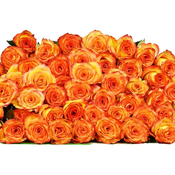 Fresh Cut Flowers Etsy