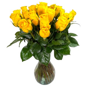 25 Fresh Cut Yellow Roses by Arabella Bouquets with a Free Hand- Blown Glass Vase (Fresh Cut Flowers)