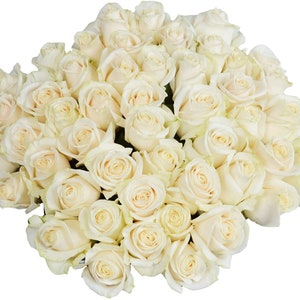 50 Stem White Roses by Arabella Bouquets (Bulk Fresh Cut Flowers)
