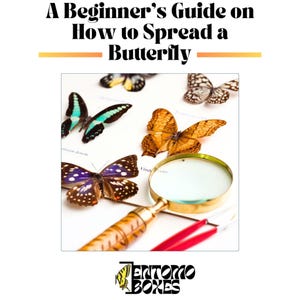 butterfly collection guide