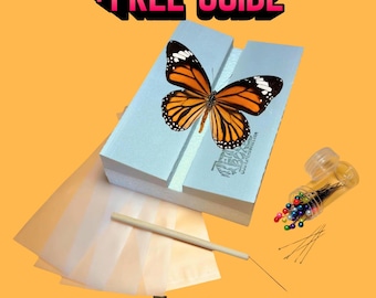 Colección de mariposas de inicio MICRO KIT con guía completa colección de entomología taxidermia insectos