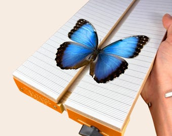 Verstelbaar vlinderprikbord: schuine balsahoutspreidplank voor montage van insecten en entomologie
