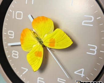 Real Butterfly Wall Clock, Phoebis philea Orange-barred Sulphur, 19.5 cm Insect Decor