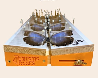 Tablero de madera de balsa ajustable para fijar mariposas y polillas, Entomología Taxidermia