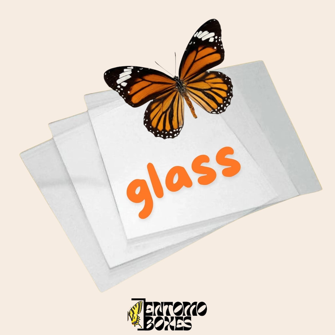 Glass Slides for Spreading Butterflies Moths Insects Taxidermy ...