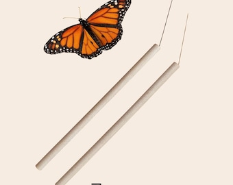 Agujas para alfileres de insectos para mariposas, polillas y escarabajos – Herramientas de entomología