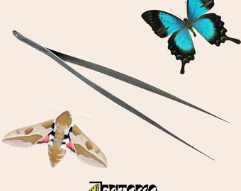 Pinzas entomológicas blandas de 15 cm/6 pulgadas / Pinzas para fijar polillas mariposa / Herramienta metálica para insectos