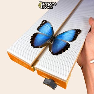 Anpassbares Butterfly Pinning Board: Abgewinkeltes Balsa Holz Spreizbrett für Insekten Montage & Entomologie