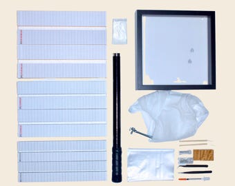 Insect butterfly collector starting KIT ALL in one entomology collection