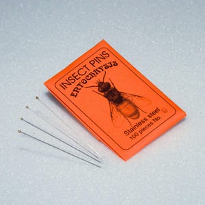 entomology insect pins