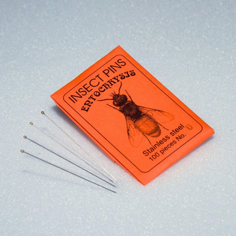 entomology insect pins
