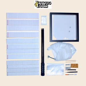 PRO Butterfly Collector starting KIT entomology collection insect catching image 1