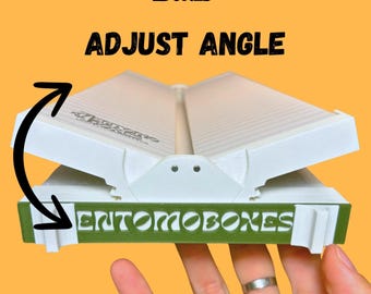 Tablero de anuncios con ángulo ajustable, mariposas, polillas, taxidermia, entomología, arte.