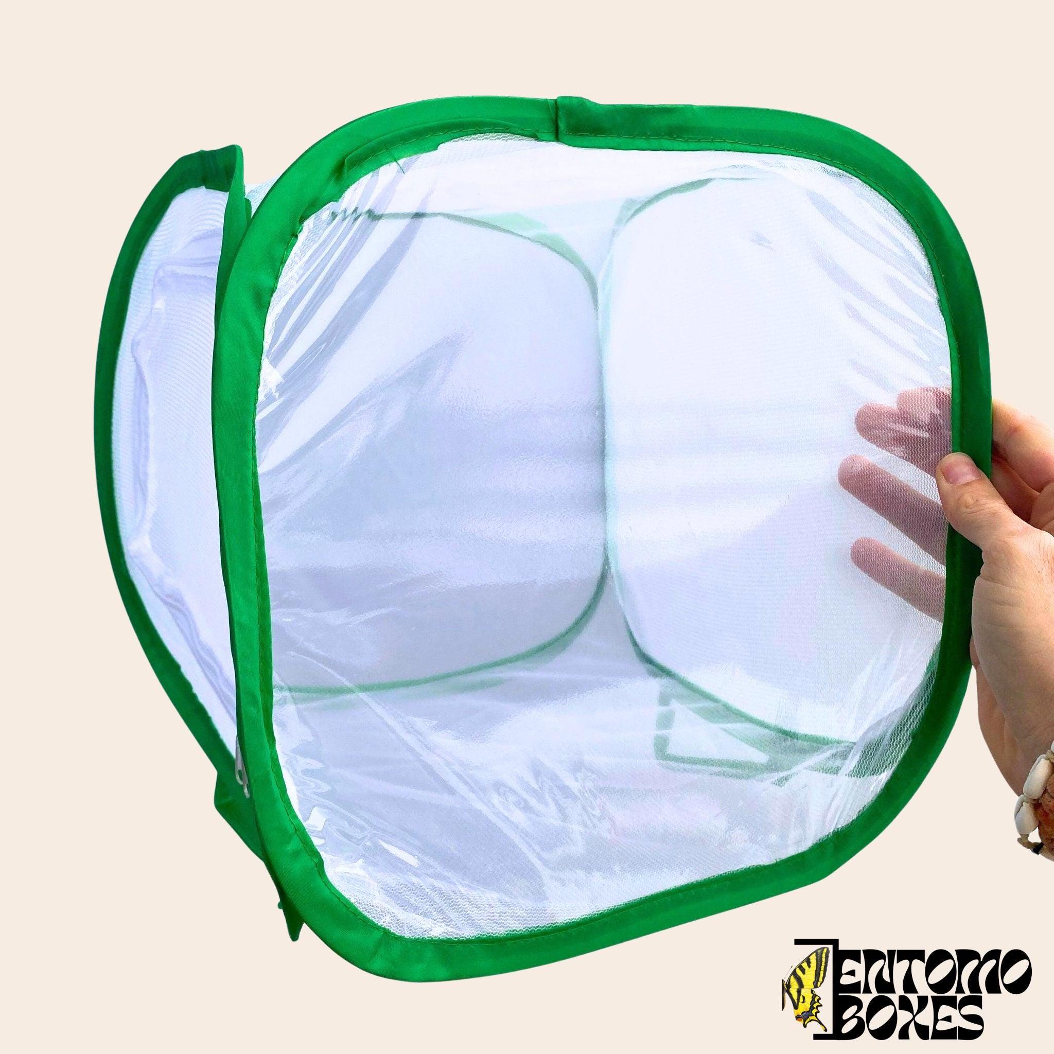 Butterfly Insect Box Butterfly Insect Breeding Mesh Cage Box Collapsible Net Entomology Bugs ...