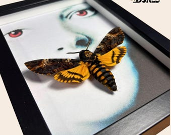 Ingelijste dodelijke nachtvlinder: Acherontia Atropos in Shadowbox, huisdecoratie Silence of the Lambs